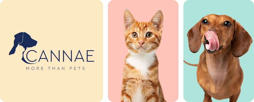 Frame 427321577