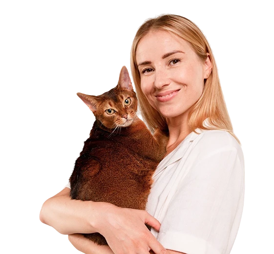 fotografia-primer-plano-hermoso-gatito-domestico-jengibre-sentado-superficie-blanca 1 (2)