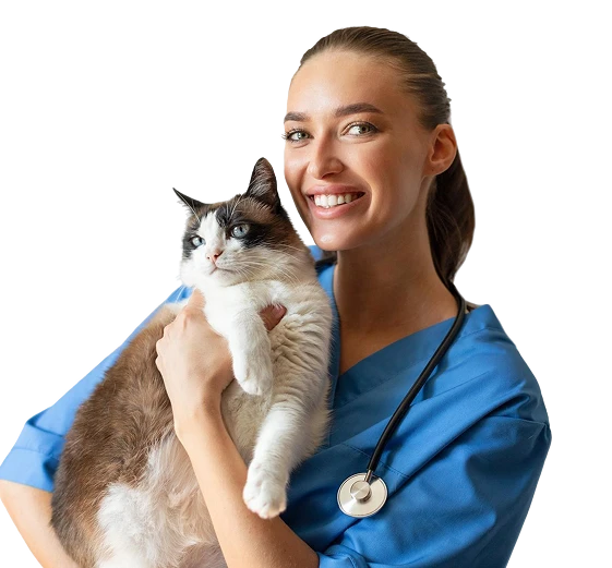fotografia-primer-plano-hermoso-gatito-domestico-jengibre-sentado-superficie-blanca 1