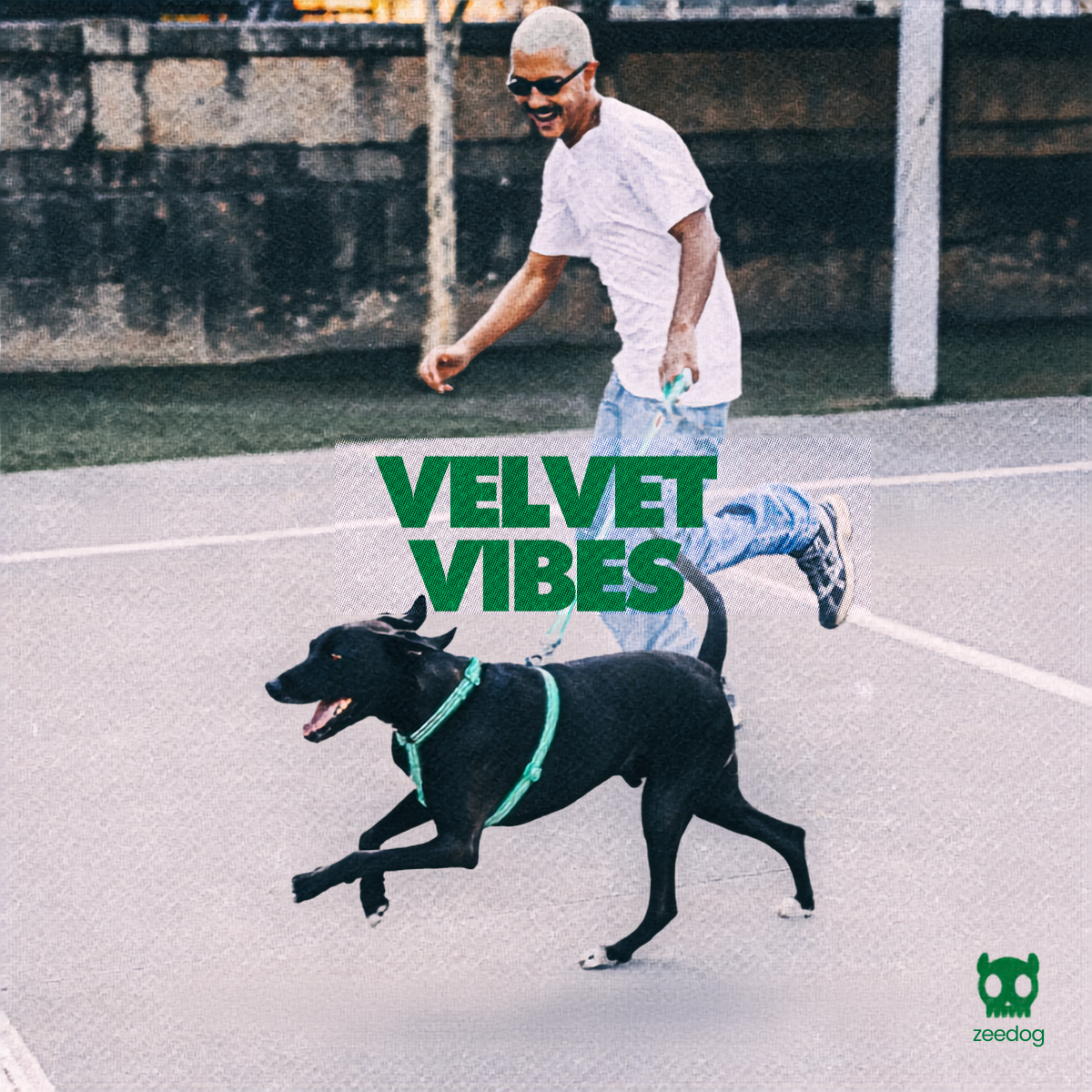 Perro corriendo con arnés turquesa de la colección Velvet Vibes junto a su humano, con el lettering Velvet Vibes de Zee.Dog