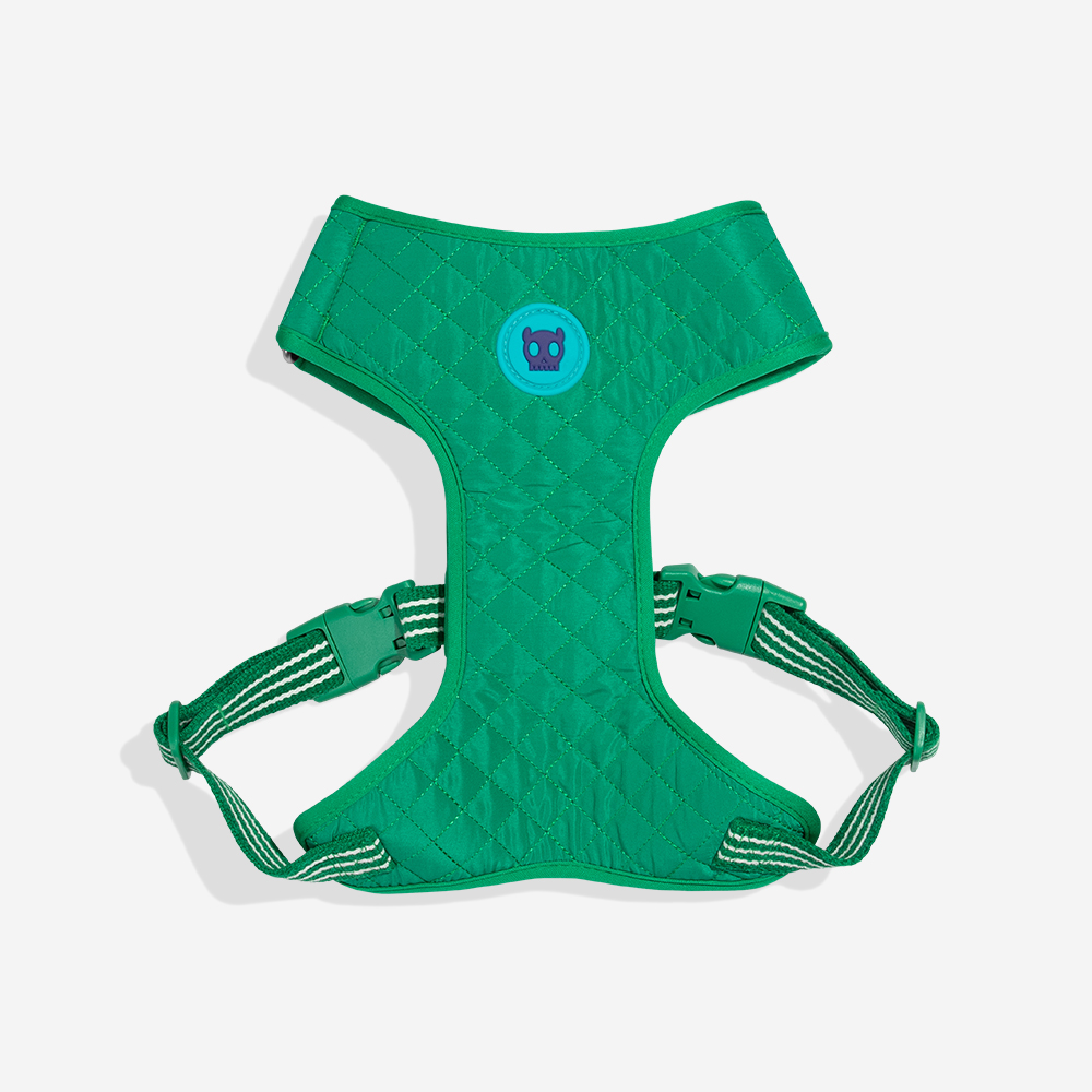 Arnés Air Mesh del diseño Vert, en verde acolchado con cinta a rayas verde y blanca