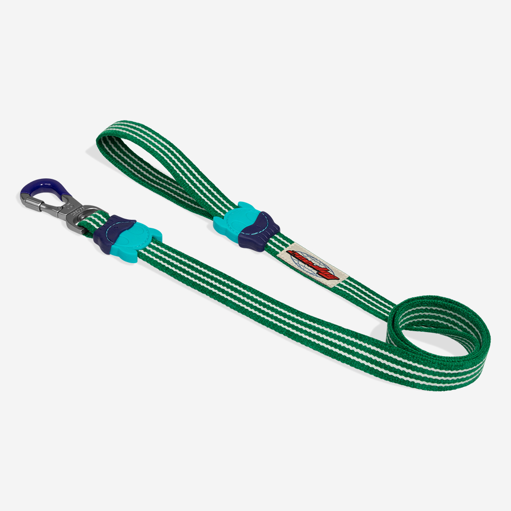 Correa Leash del diseño Vert, en cinta verde con rayas blancas y mosquetón morado