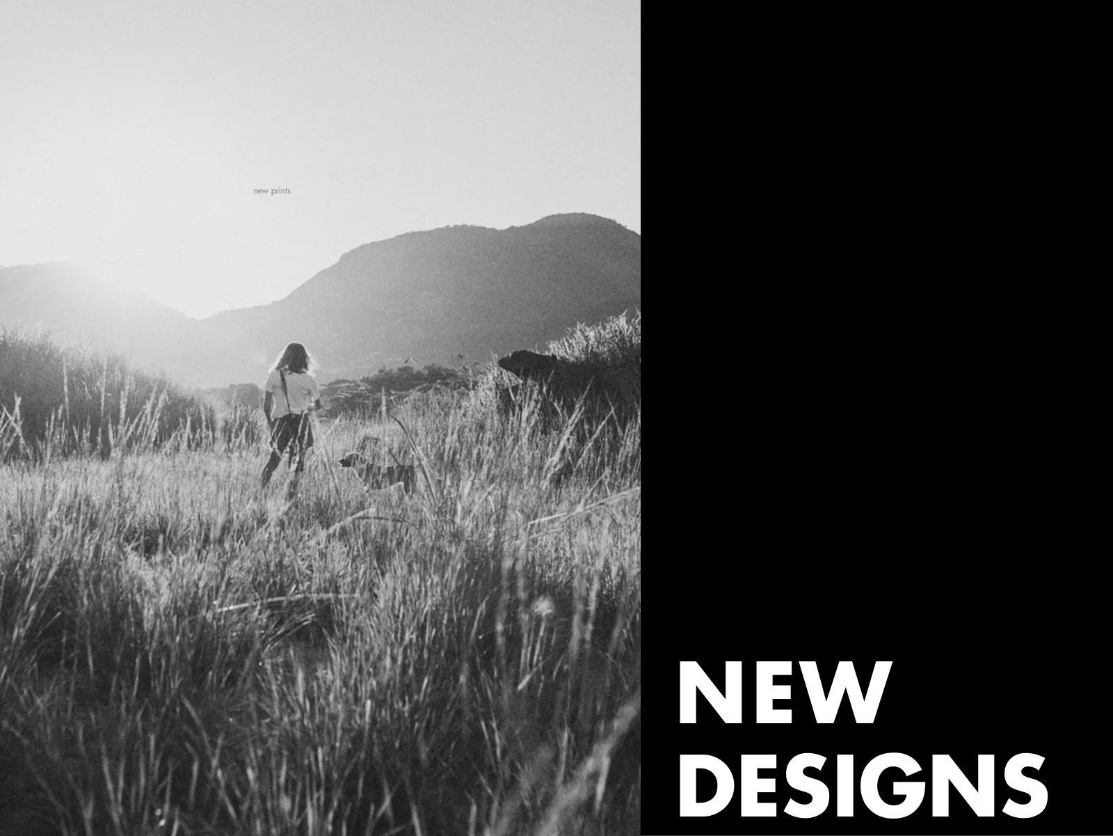 Página 4 de 50 — New Designs
