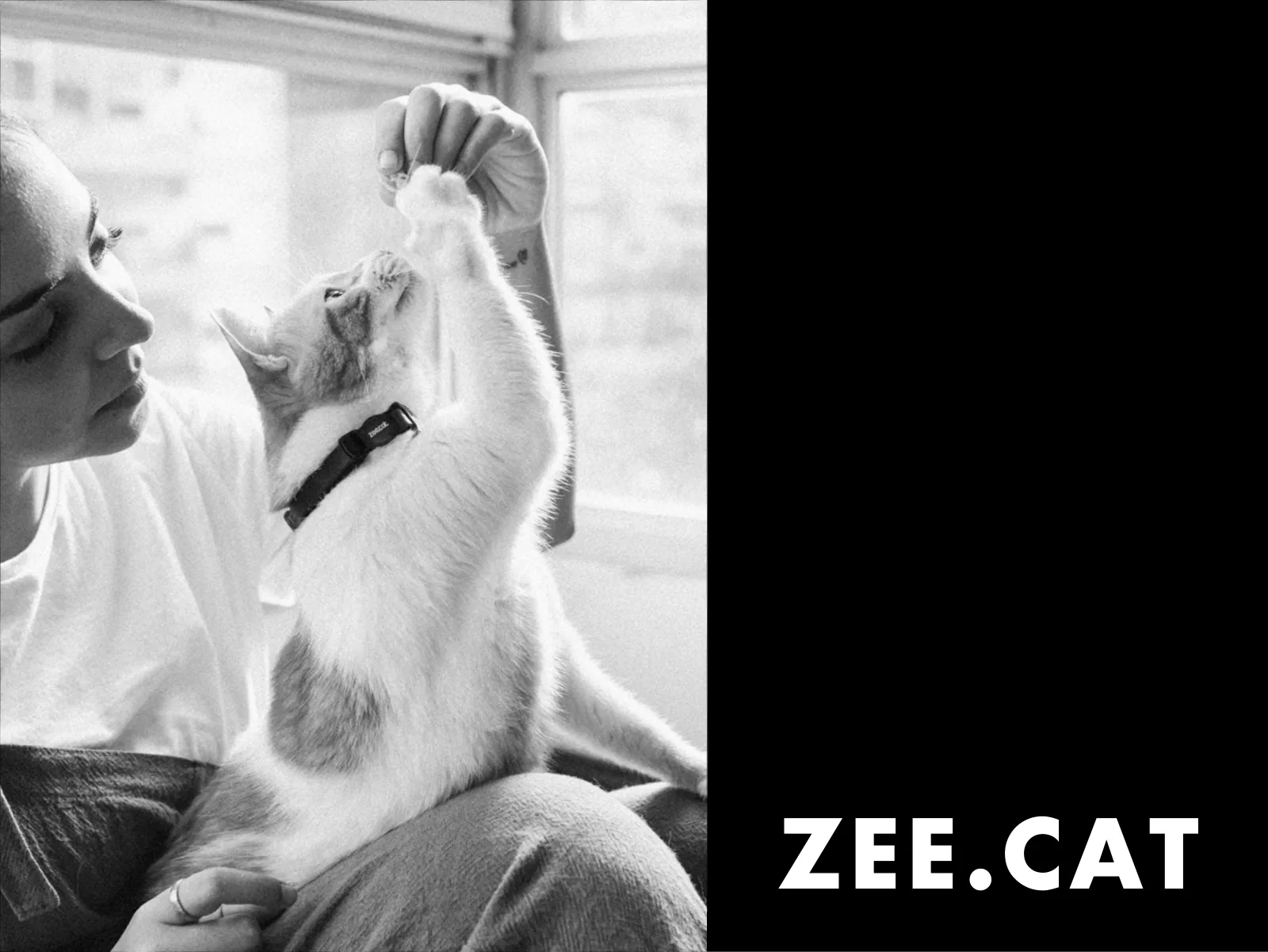 Página 46 de 50 — Zee.Cat