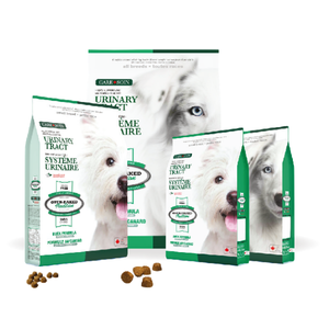 Bolsas de la línea Urinary Tract