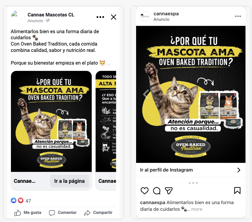 Por qué tu mascota ama OBT