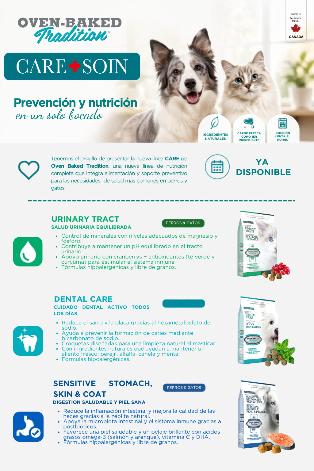 Correo de detalle de las tres recetas Care+Soin