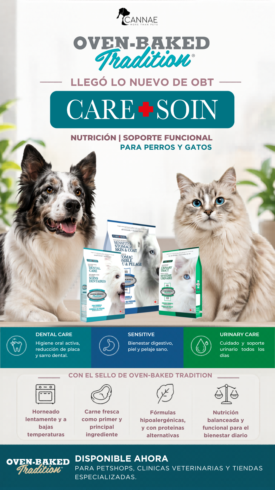 Correo de anuncio Care+Soin